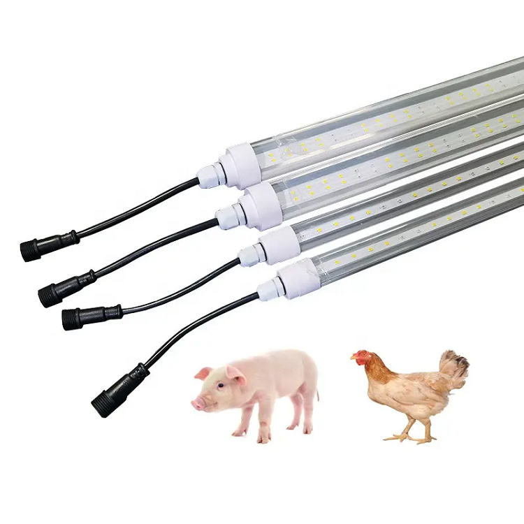 48V tube light 48V tube light