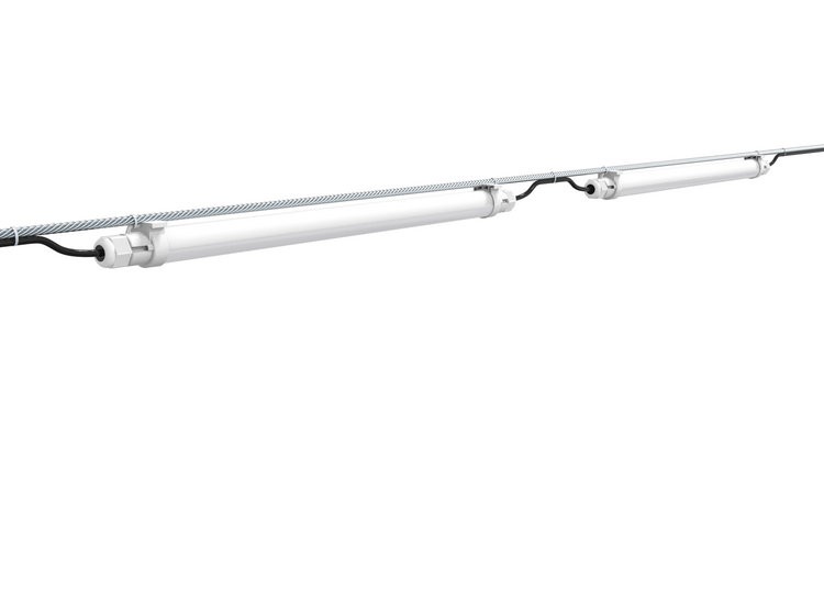 best light for chicken coop