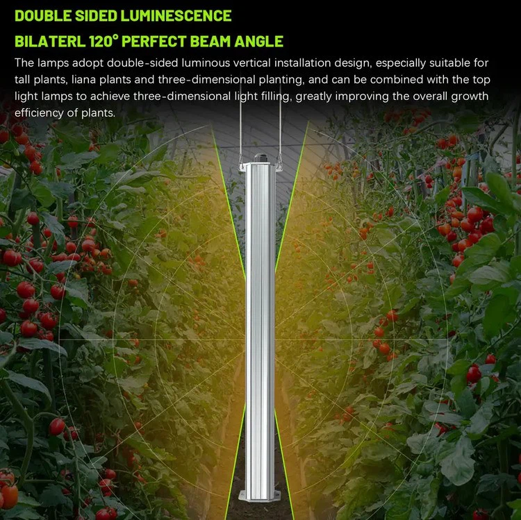 Full Spectrum Integrated Tomato Growing lights 3 Full Spectrum Integrated Tomato Growing lights 3