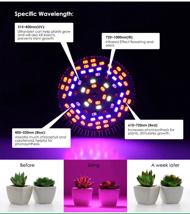 4W Led Grow Light 3 4W Led Grow Light 3