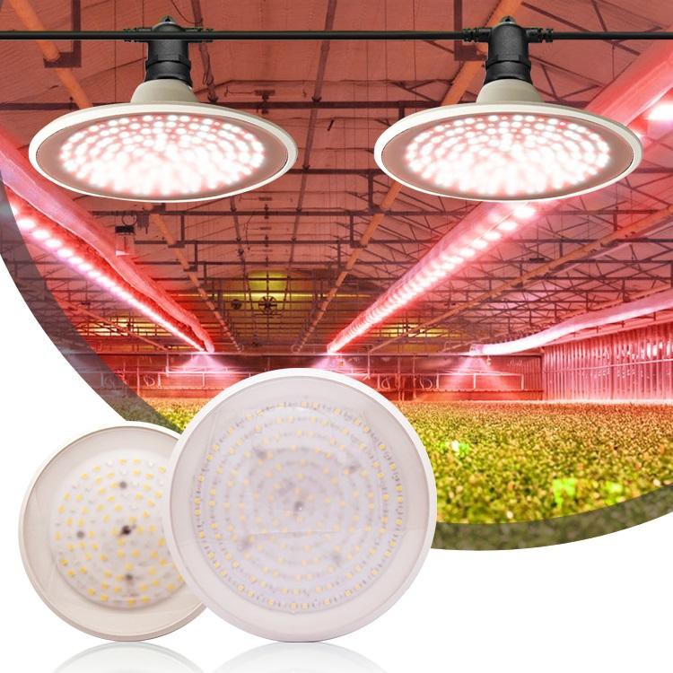 UFO LED Grow Light For Indoor Plants UFO LED Grow Light For Indoor Plants