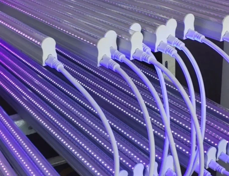 T8 UVA 365nm LEDs light T8 UVA 365nm LEDs light