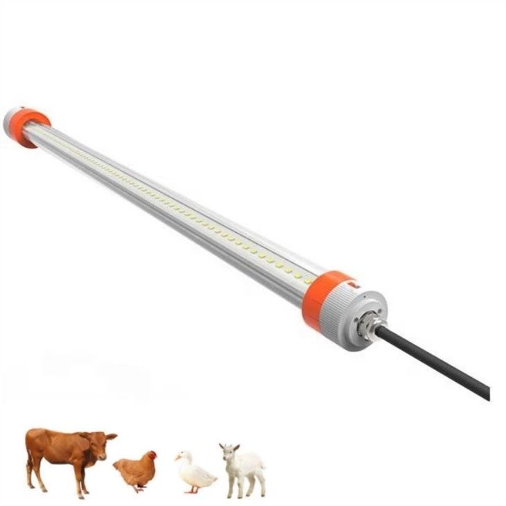 poultry light bulb