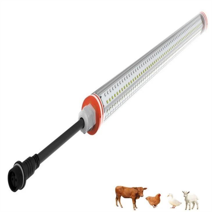 Lighting for Poultry Housing