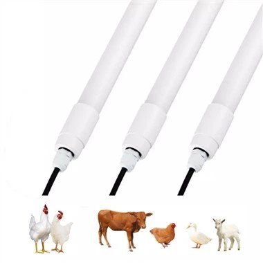 Đèn Led cho chuồng gia cầm