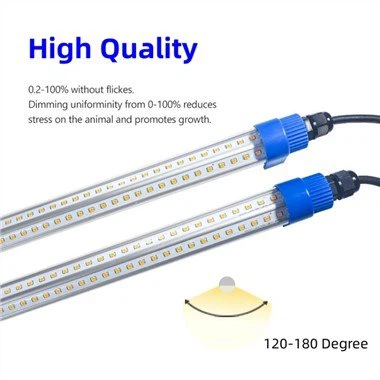 Đèn sản xuất trứng gà