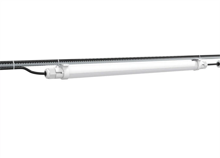 lighting for broilers -