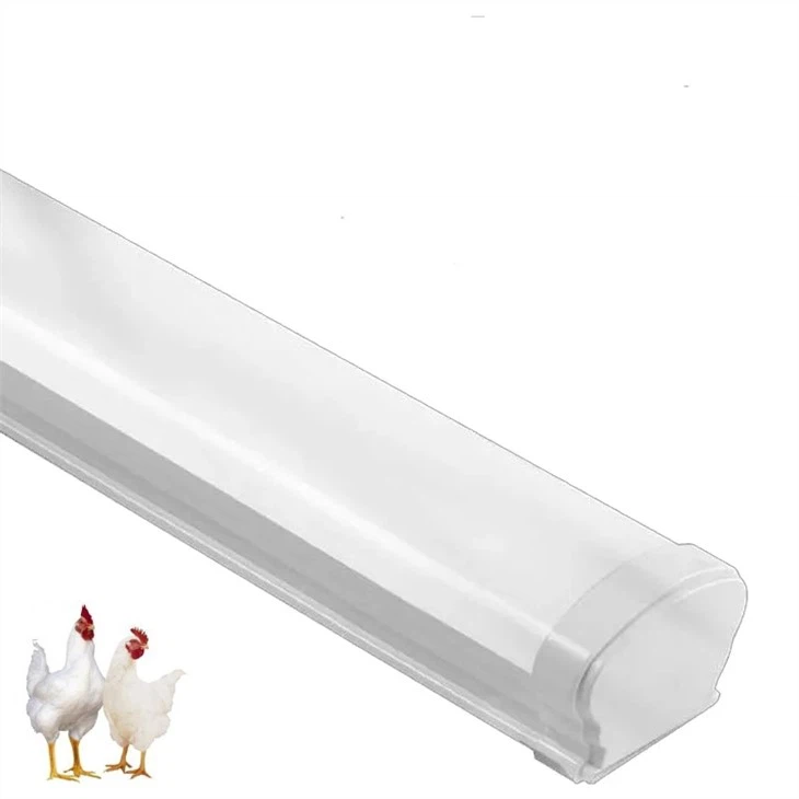 Lights For Laying Hens