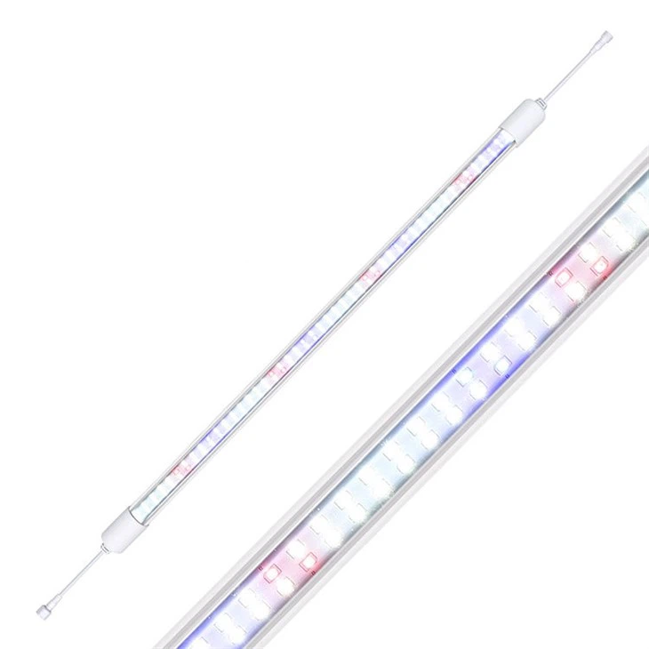 Full Spectrum Light Bulbs For Plant