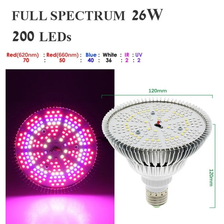 full spectrum light bulbs