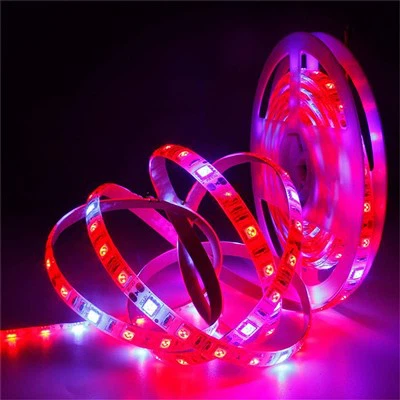 5050 Full Spectrum Led Strip Grow Light cho sự phát triển của thực vật