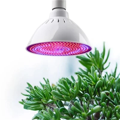Đèn phát triển điểm E27