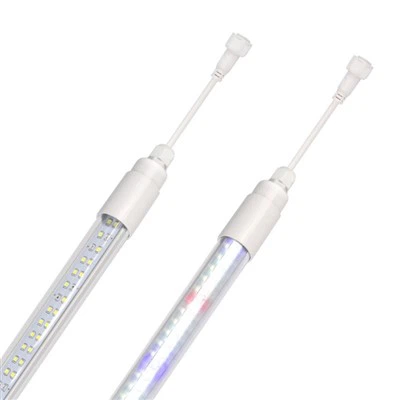 Đèn phát triển năng lượng hiệu quả