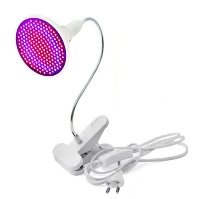 Trồng củ cho cây trồng trong nhà