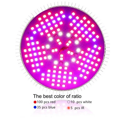 Trồng đèn cho cây con