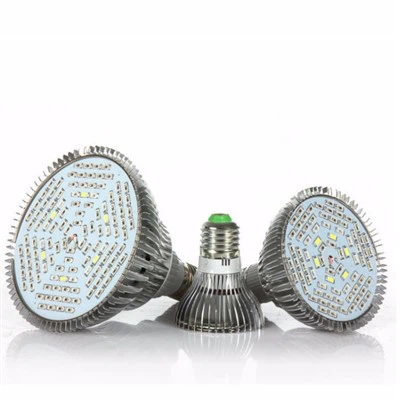 Trồng bóng đèn cho cây trồng trong nhà