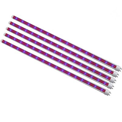 Phát triển vườn ánh sáng