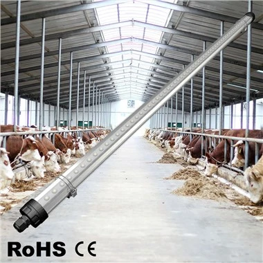 Chiếu sáng chuồng trại công nghiệp