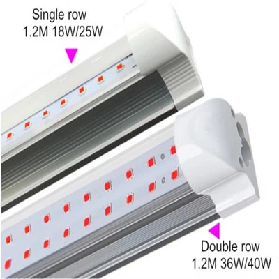 Đèn led trồng cây