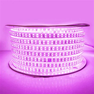 Dải đèn LED 10m