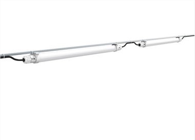 Bóng Đèn Cho Nhà Hến