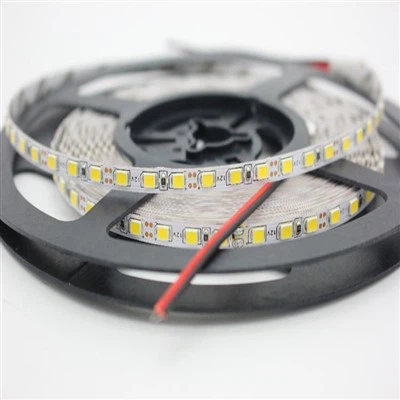 Dải Đèn Neon