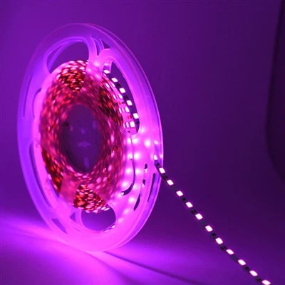 Đèn dải có thể sạc lại