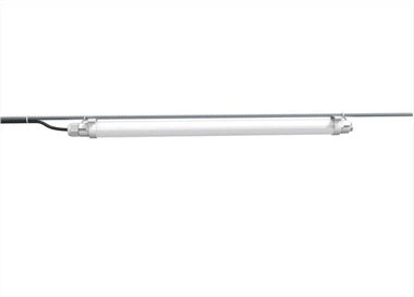 Ánh sáng mùa đông cho gà