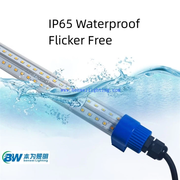 Poultry Farm Lighting System