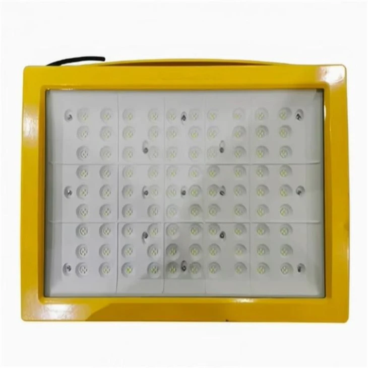 Anti-corrosion Weatherproof LED Explosion Proof Flood Light high quality