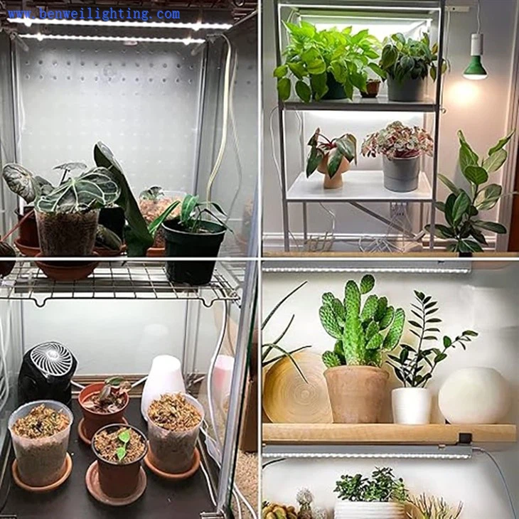 plant lights for indoor plants