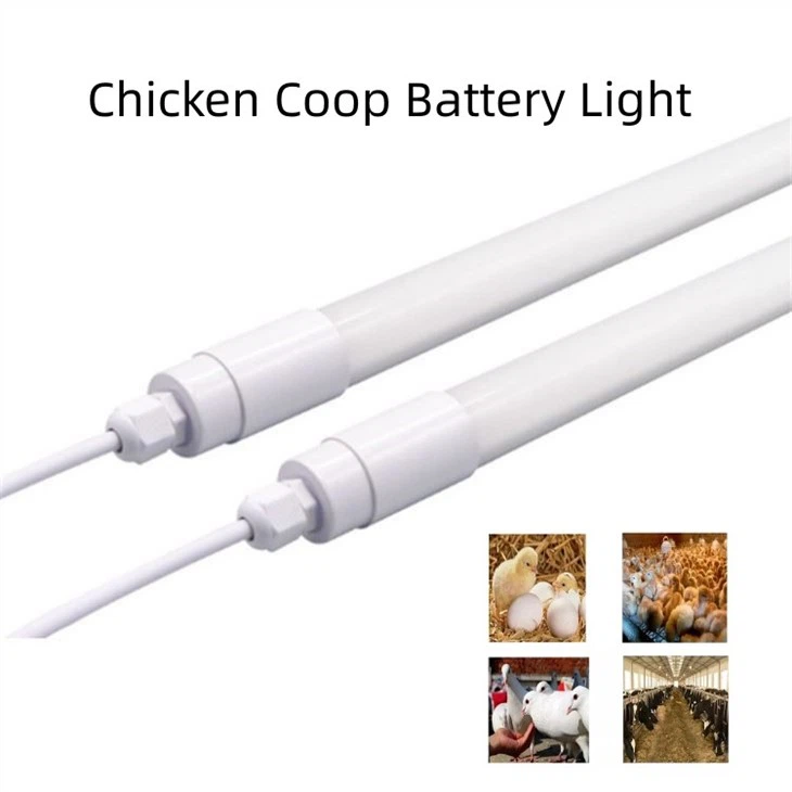 Chicken Light With 0-10V Waterproof Ip67