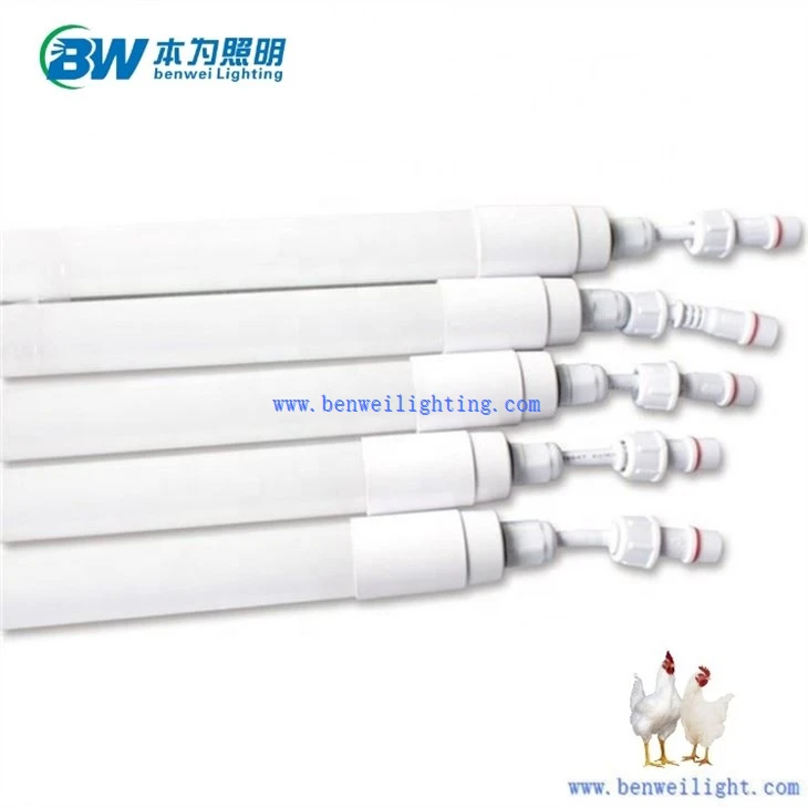 Chicken Light With 0-12V 5700K 15W 12W