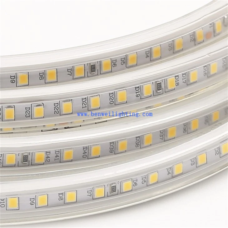 Color changing ribbon light (4)