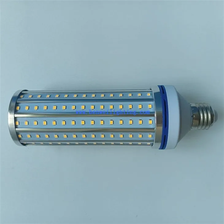 Corn Bulb With Bottom (4)