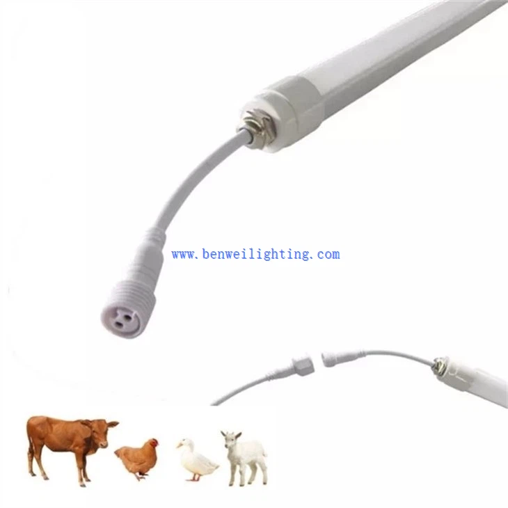 Cow lamp  (2)