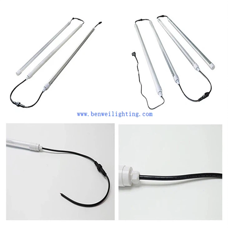 Farmyard Poultry Light (4)