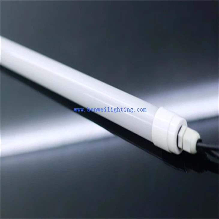 Farmyard Poultry Light (1)