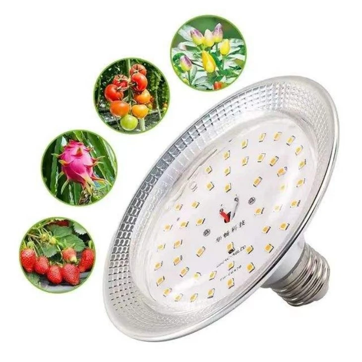 Full Spectrum Pitaya LED Grow Light
