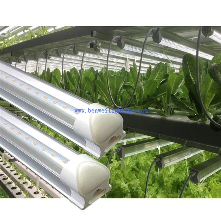 full spectrum grow lights