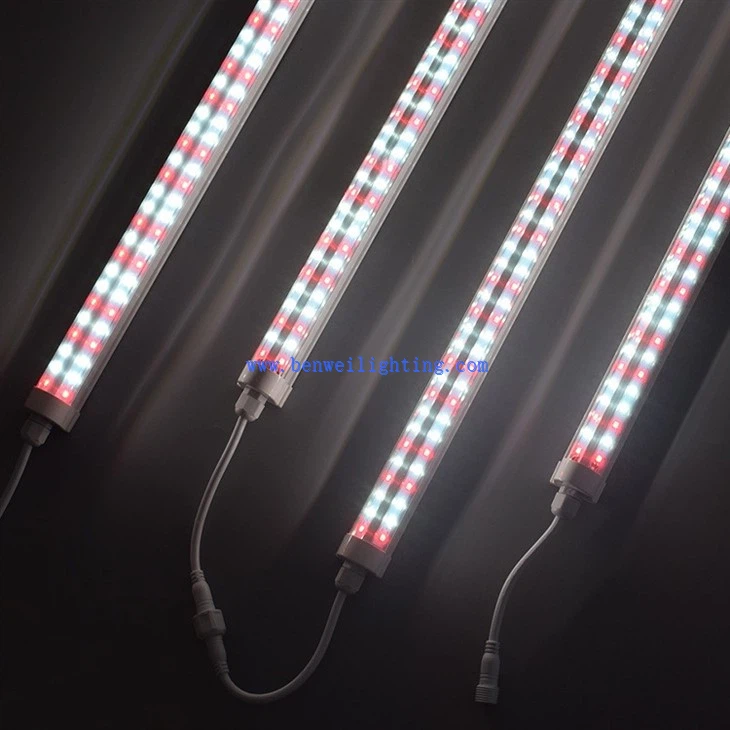 Indoor LED Growing Light Indoor Greenhouse