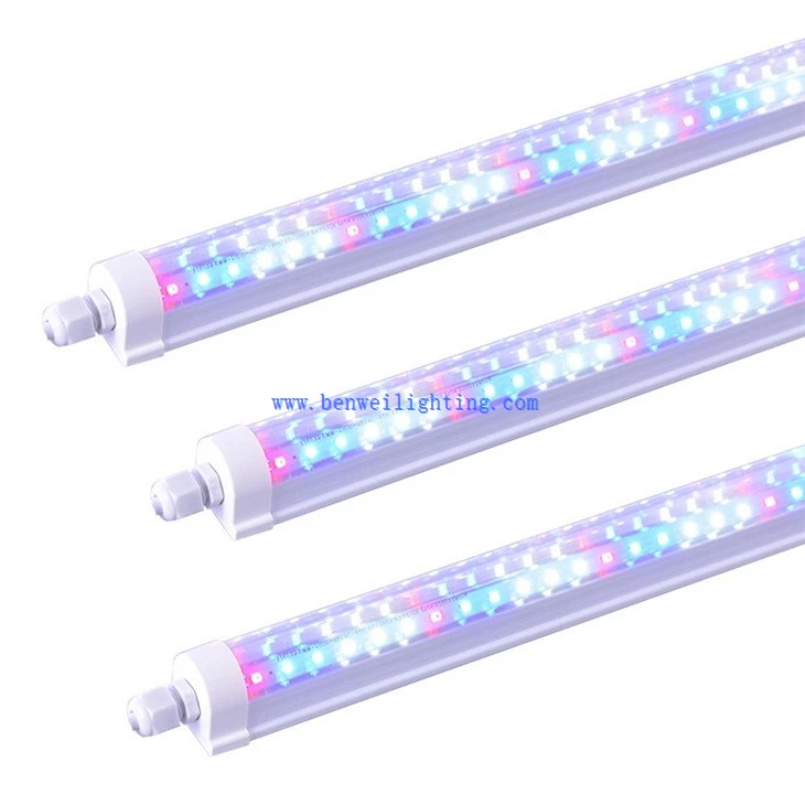 Indoor LED Growing Light Indoor Greenhouse