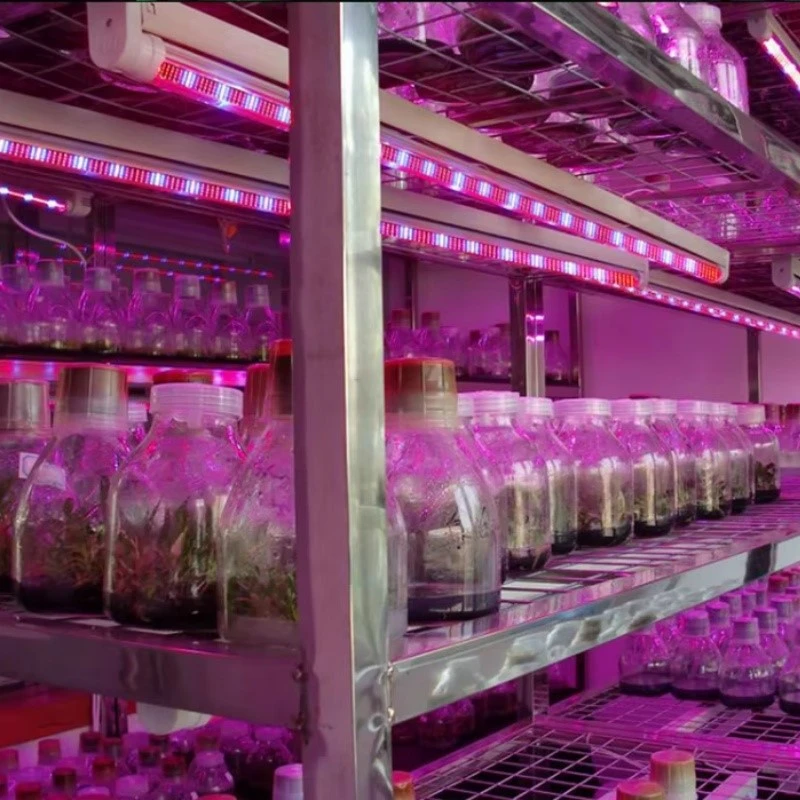 T8 Full Spectrum Grow Light Led Plant Lights T8 Full Spectrum Grow Light Led Plant Lights