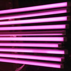 Làm cách nào để-ống đèn LED màu bột nâng cao sức hấp dẫn thị giác của thực ph...