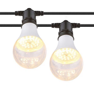 Tại sao đèn LED trồng trọt là sự lựa chọn tốt nhất cho cây trồng bên trong