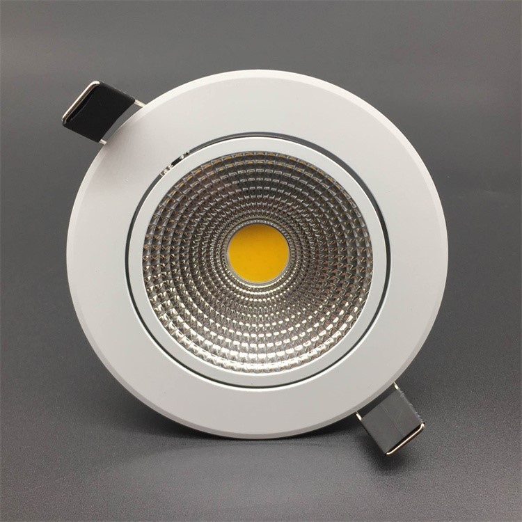 Recessed Panel Down Light 1