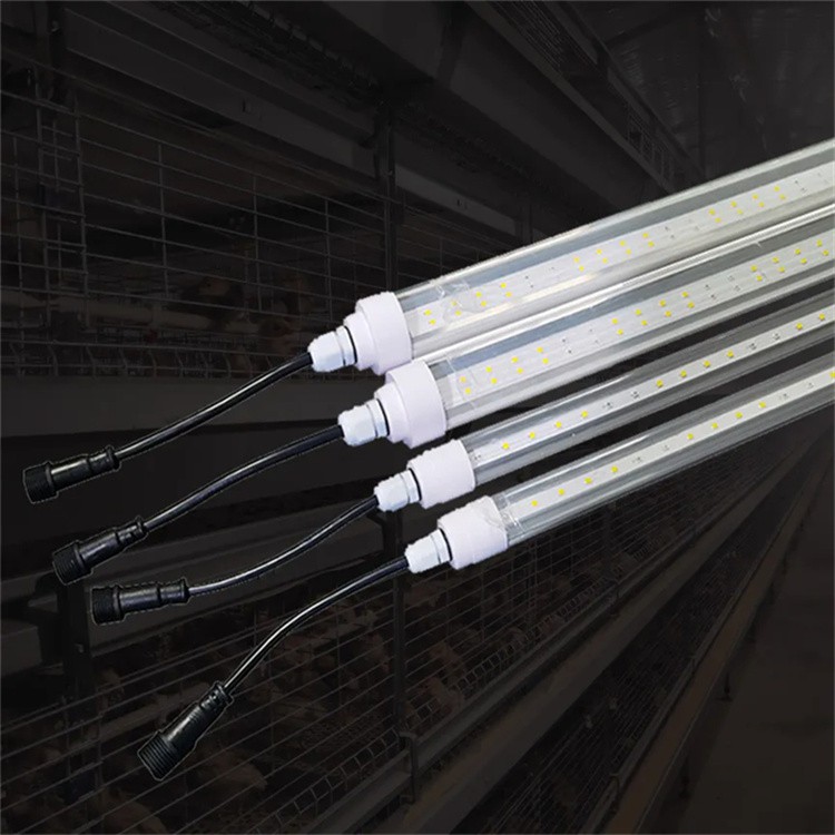 Egg Incubator Light 2 Egg Incubator Light 2