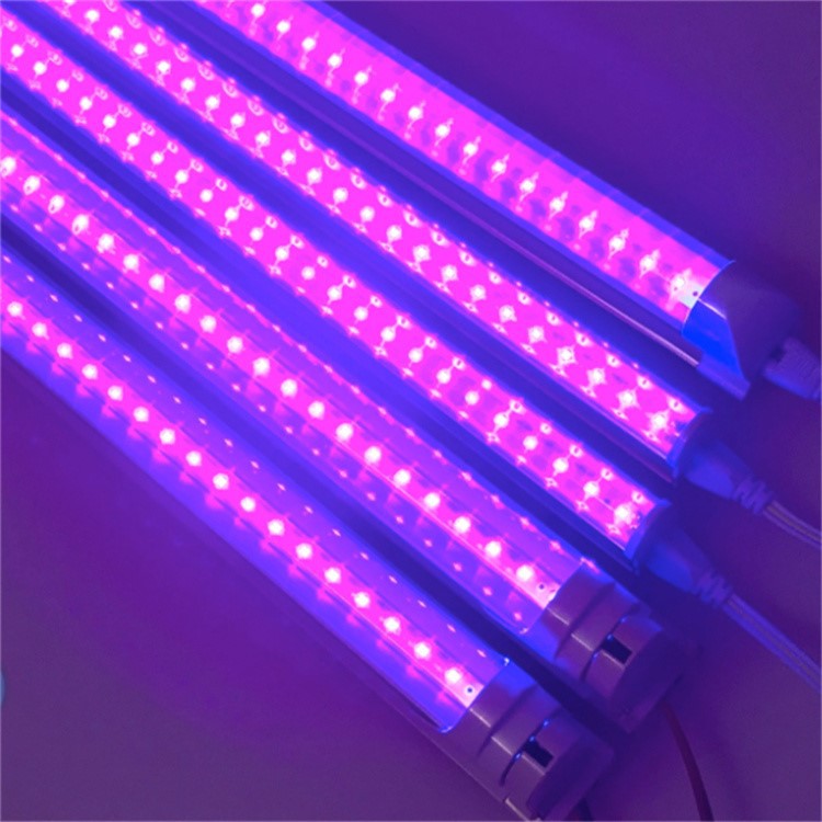 Hospital Disinfection Lamp 3 Hospital Disinfection Lamp 3