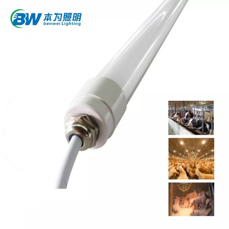 12v dc led tube light 4 feet 12v dc led tube light 4 feet