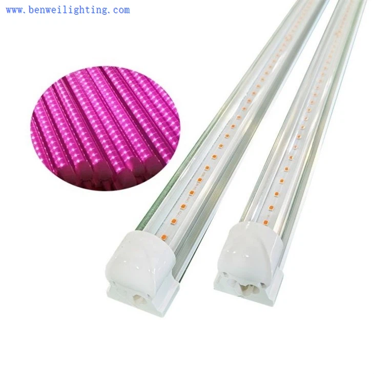 grow lights for seed starting